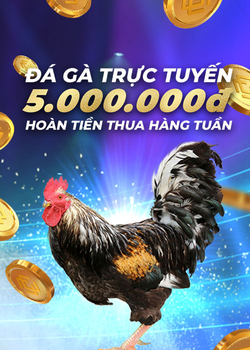 dagathomohomnay.live Hoàn tiền 3.88% hàng tuần tại Đá Gà