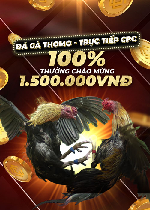 dagathomohomnay.live ĐÁ GÀ THOMO 100% Thưởng Nạp Lần Đầu