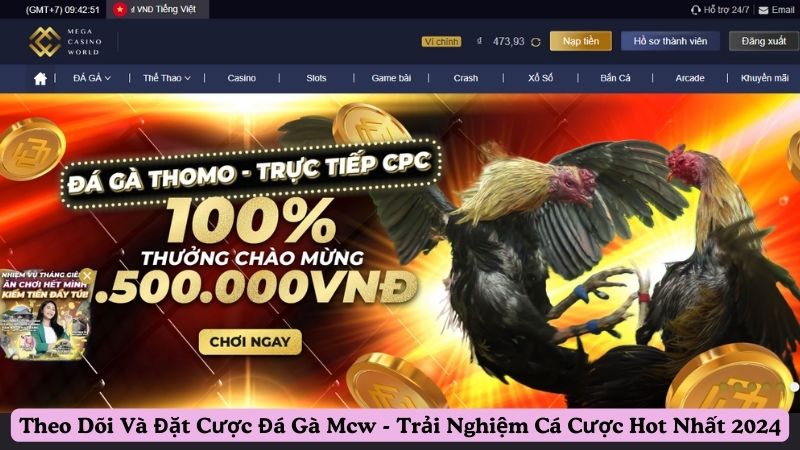 Đôi nét về sân chơi đá gà mcw chất lượng
